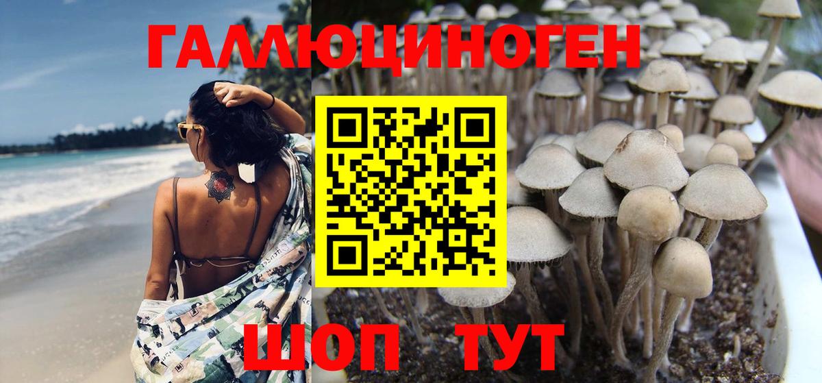 Псилоцибиновые грибы мицелий Моздок