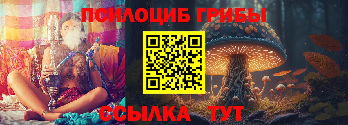 Моздок  Псилоцибиновые грибы MAGIC MUSHROOMS  Вход с VPN 
